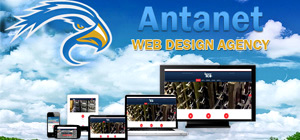 Antanet Web Design Agency